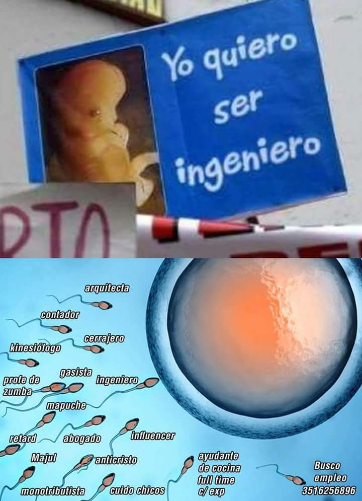 feto culiao 16